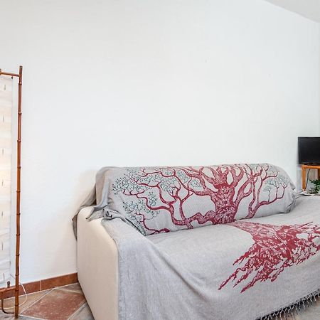 Holiday House Li Piri San Teodoro  Exterior foto